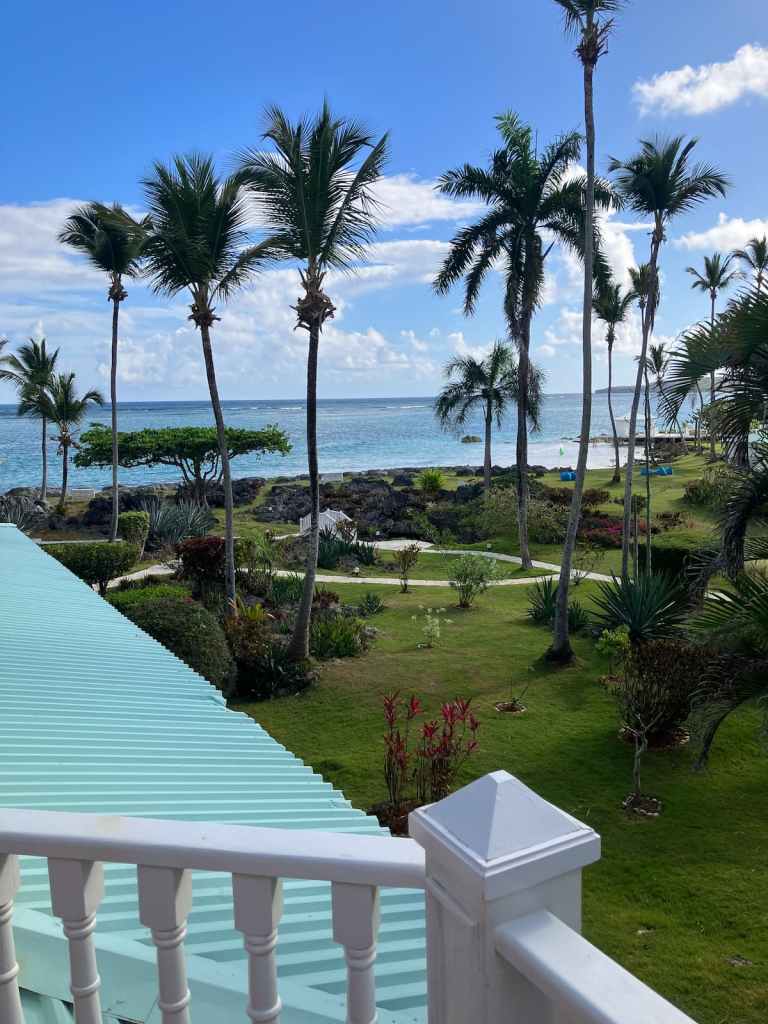 View of green space, palm trees, and ocean from balcony