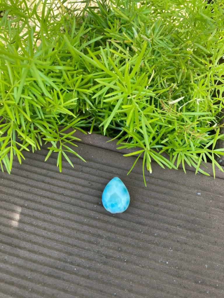 Polished Larimar stone in teardrop shape on brown background with green plant
