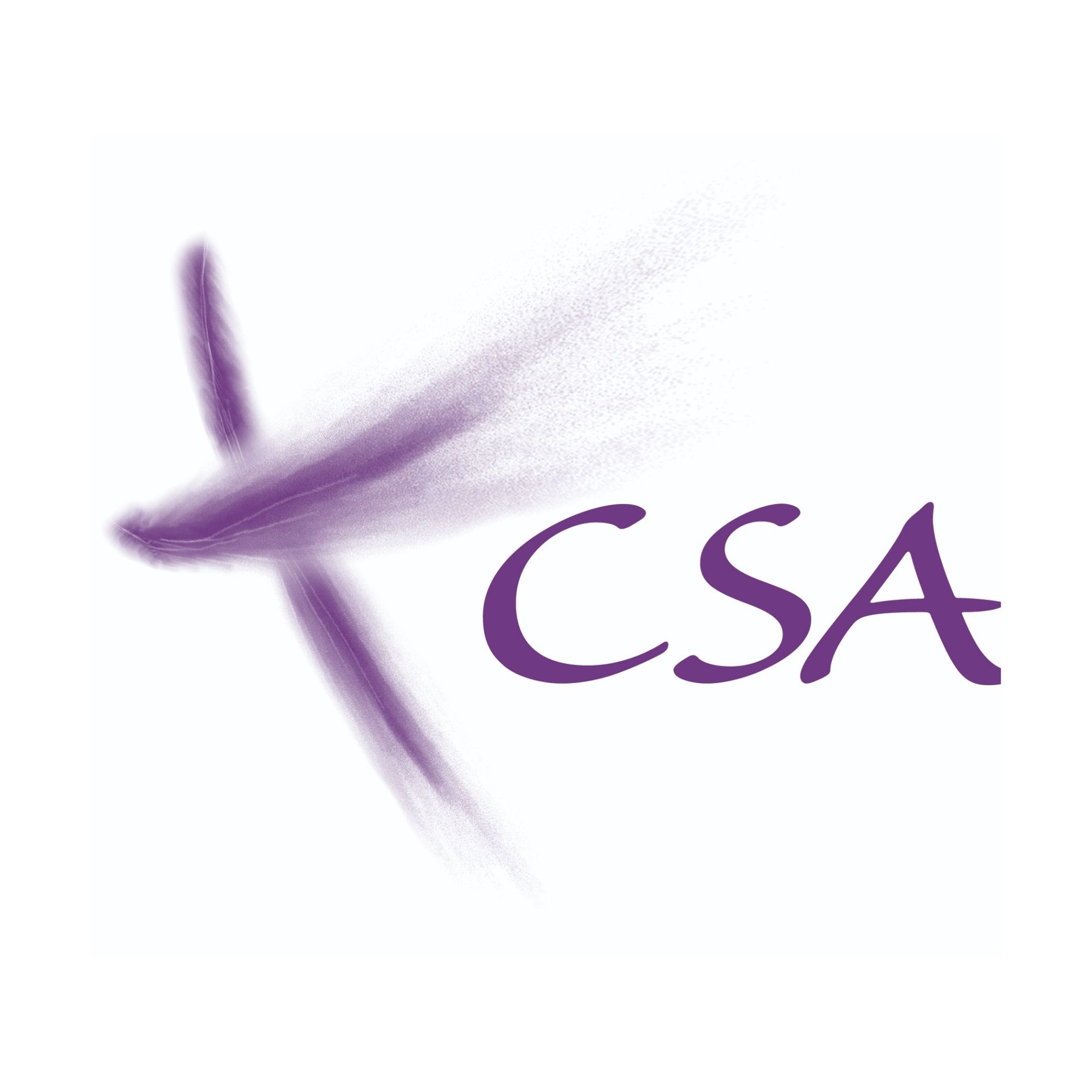 Congregation of Sisters of St. Agnes logo (purple wispy cross)